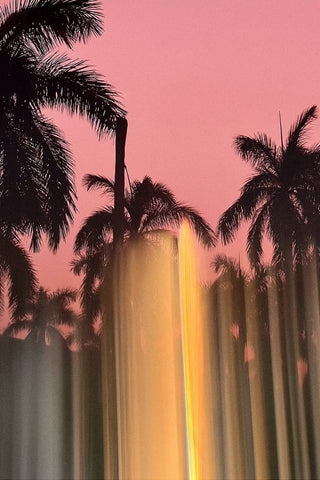 Palm Angels