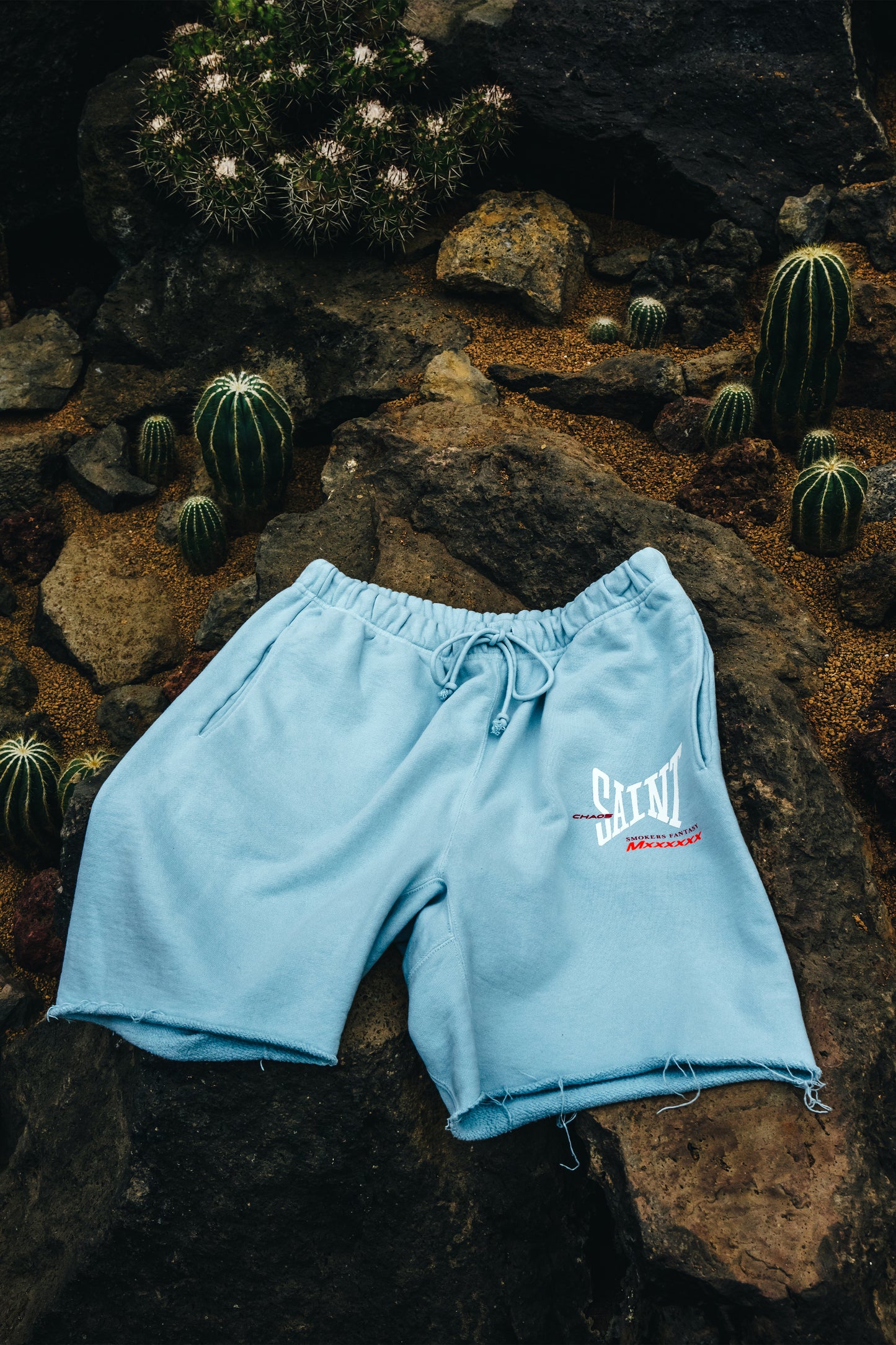 SWEAT SHORTS/ RIBON SAINT/BLU