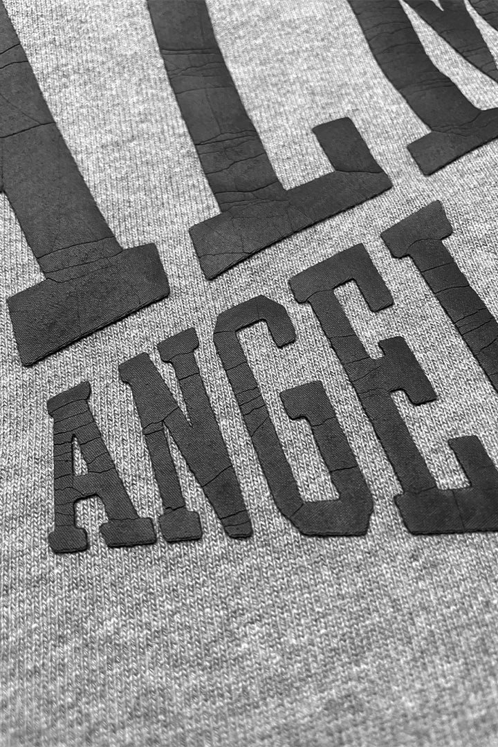 M COLLEGE HOODY