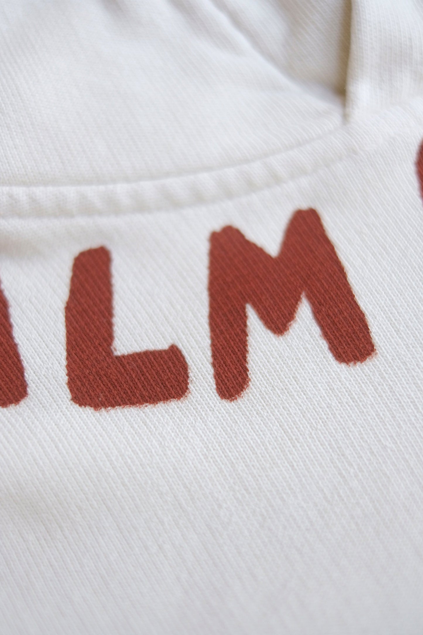 SEASONAL LOGO HOODY