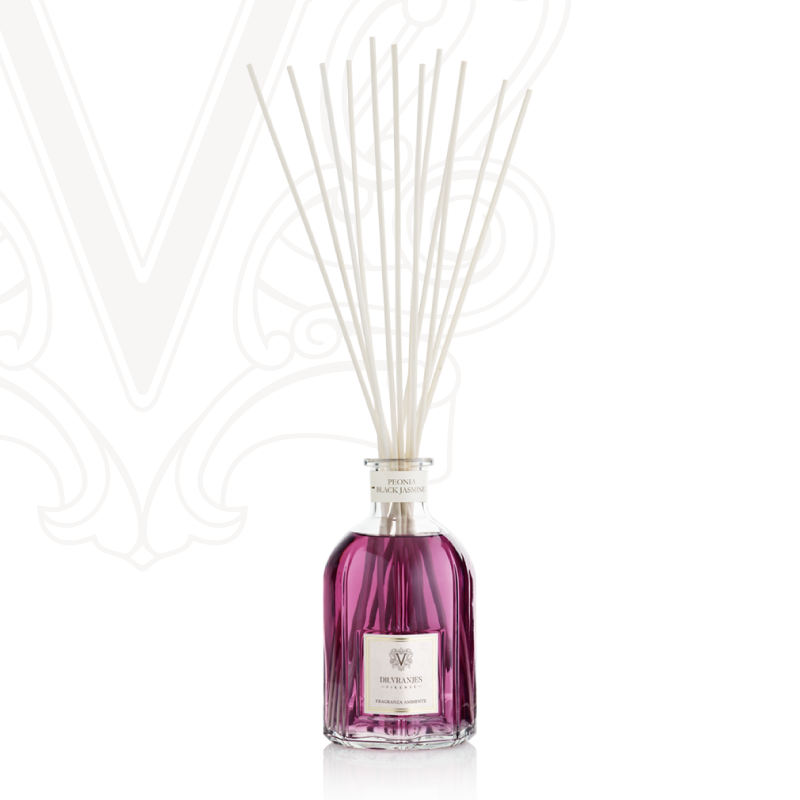 PEONIA BLACK JASMINE