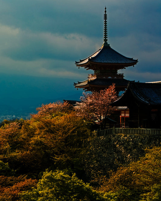 POP UP EXHIBITION at 音羽山 清水寺 経堂