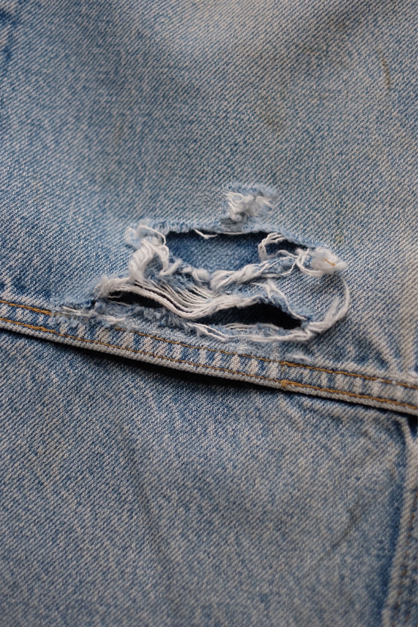 INNOCENCE Denim Pants "elephants exclusive"