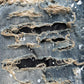 DESTROY LEATHER DENIM PANTS