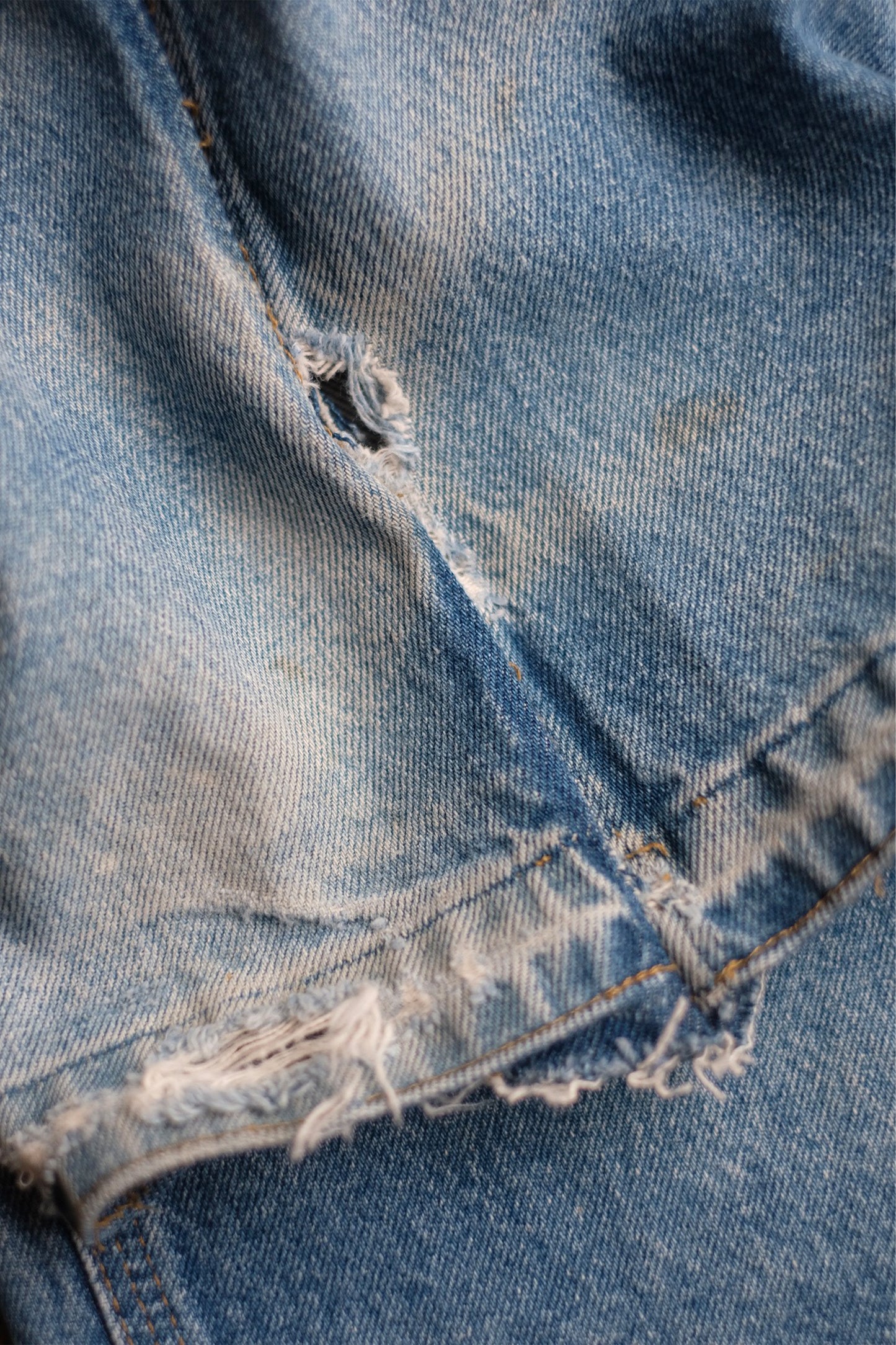 INNOCENCE Denim Pants "elephants exclusive"