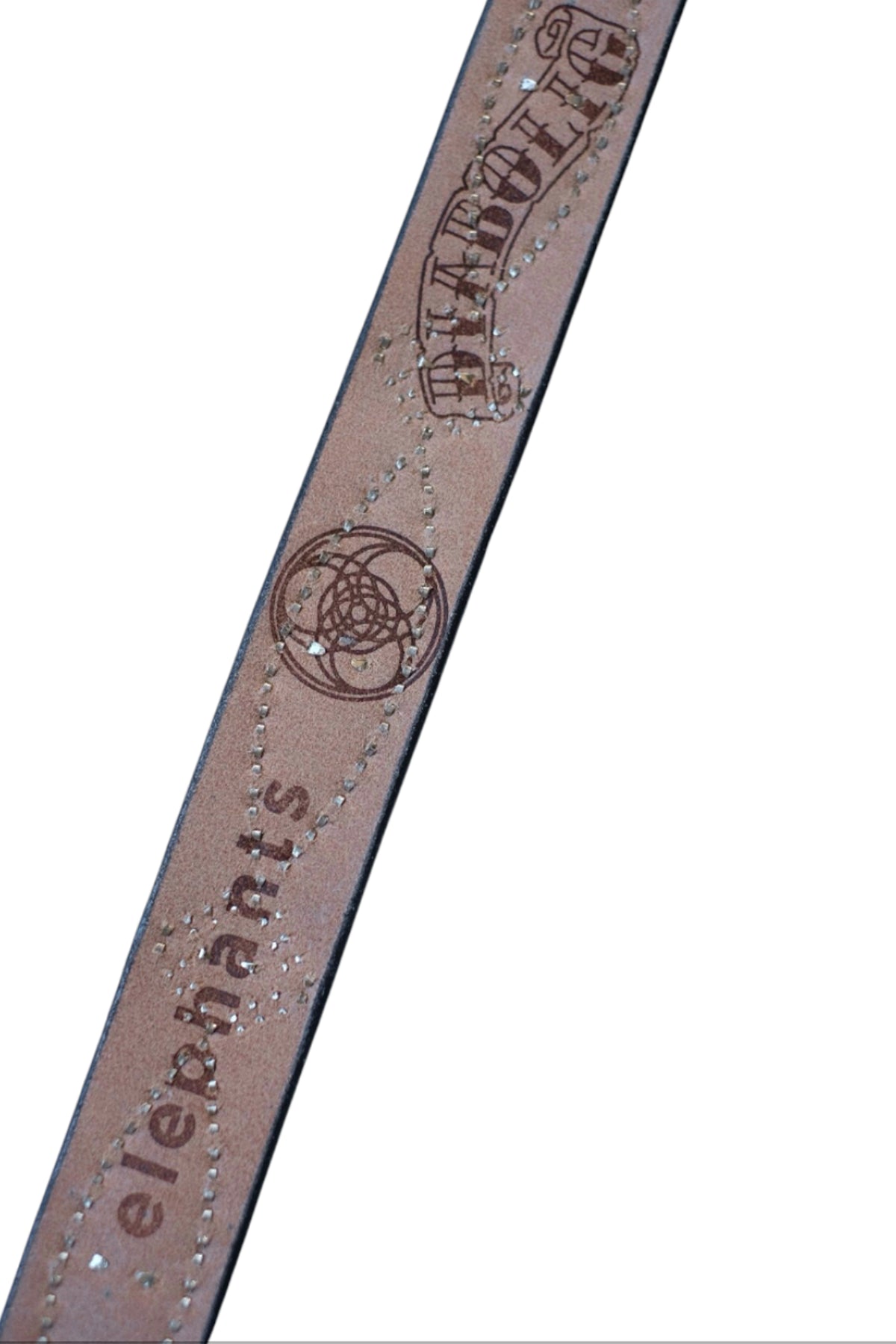 Studs Belt/Cat's Eye