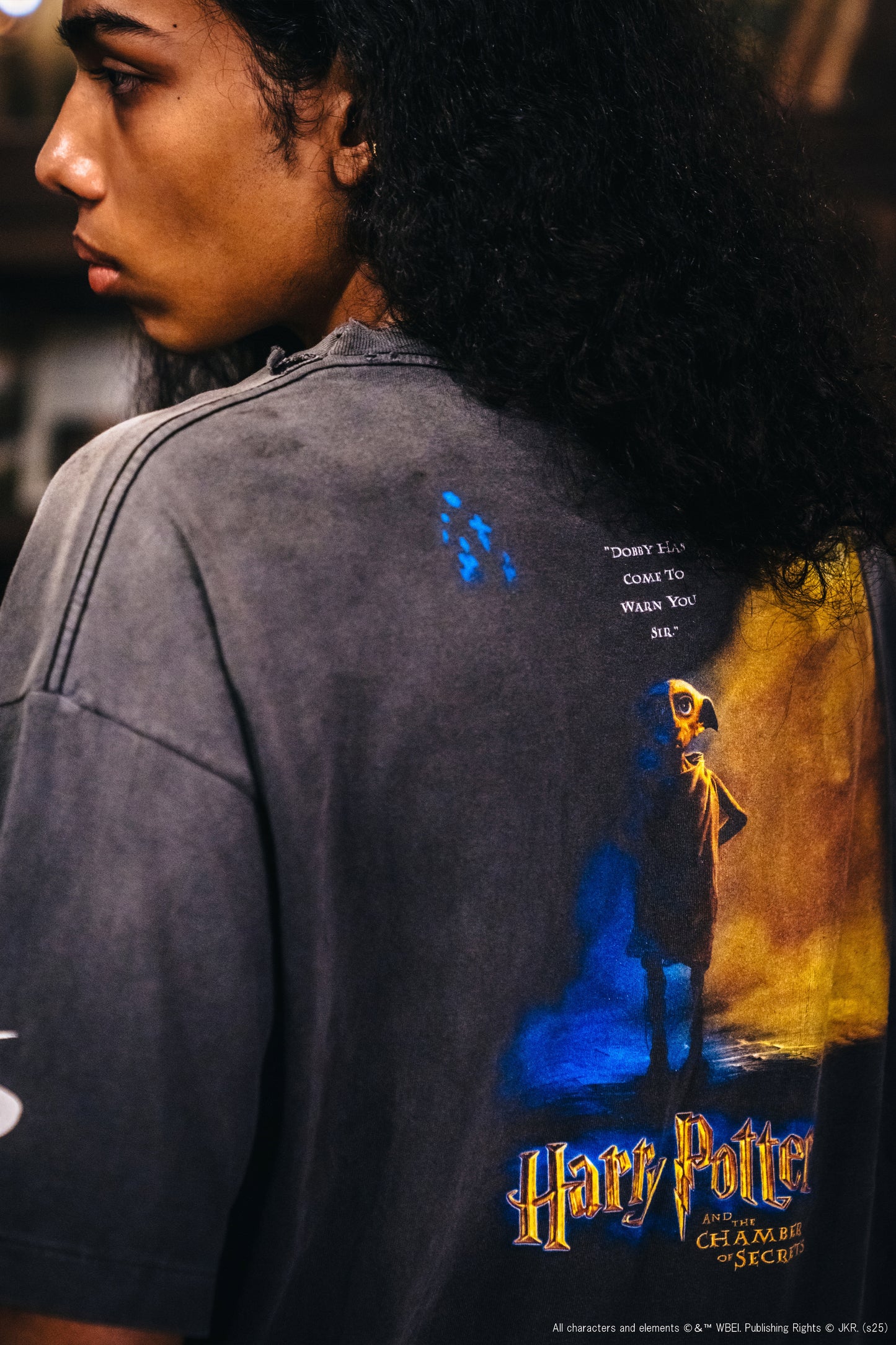 HP_SS TEE/ CHAMBER OF SCRT