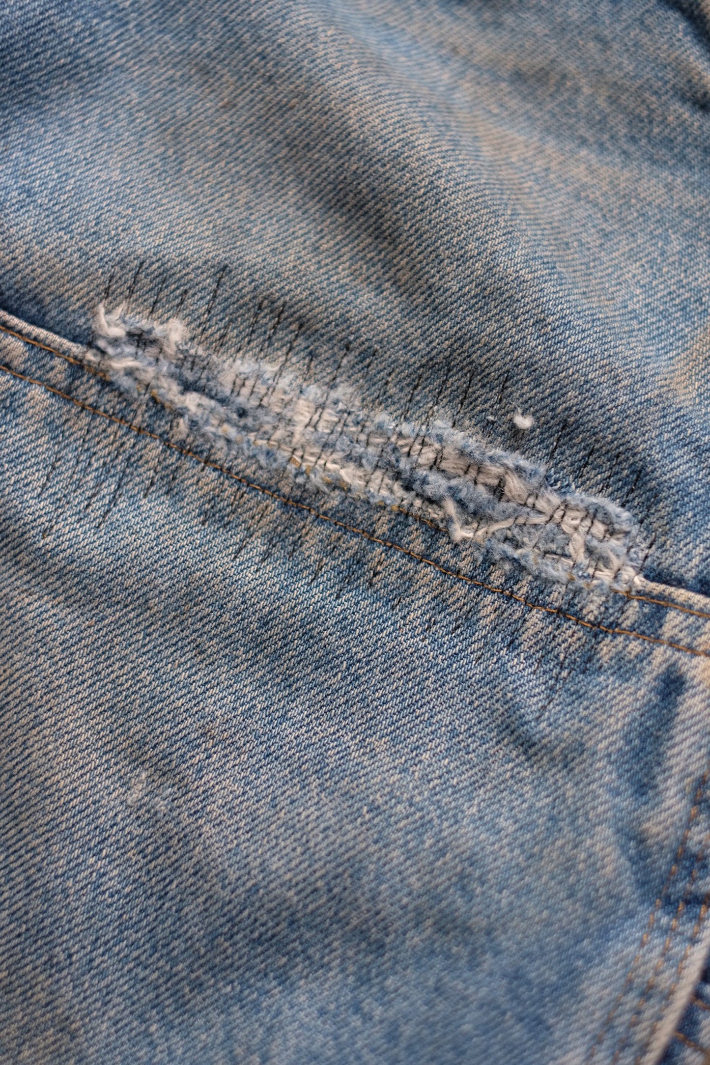 INNOCENCE Denim Pants "elephants exclusive"