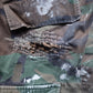 SASHIKO BAGGY CAMO  SHORTS