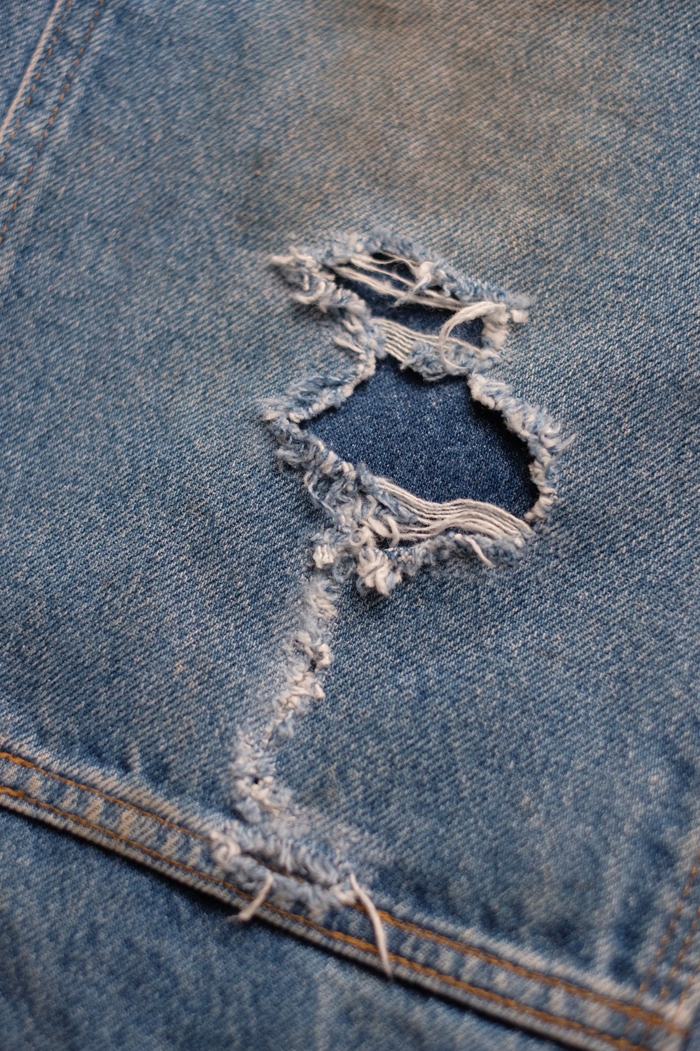 INNOCENCE Denim Pants "elephants exclusive"