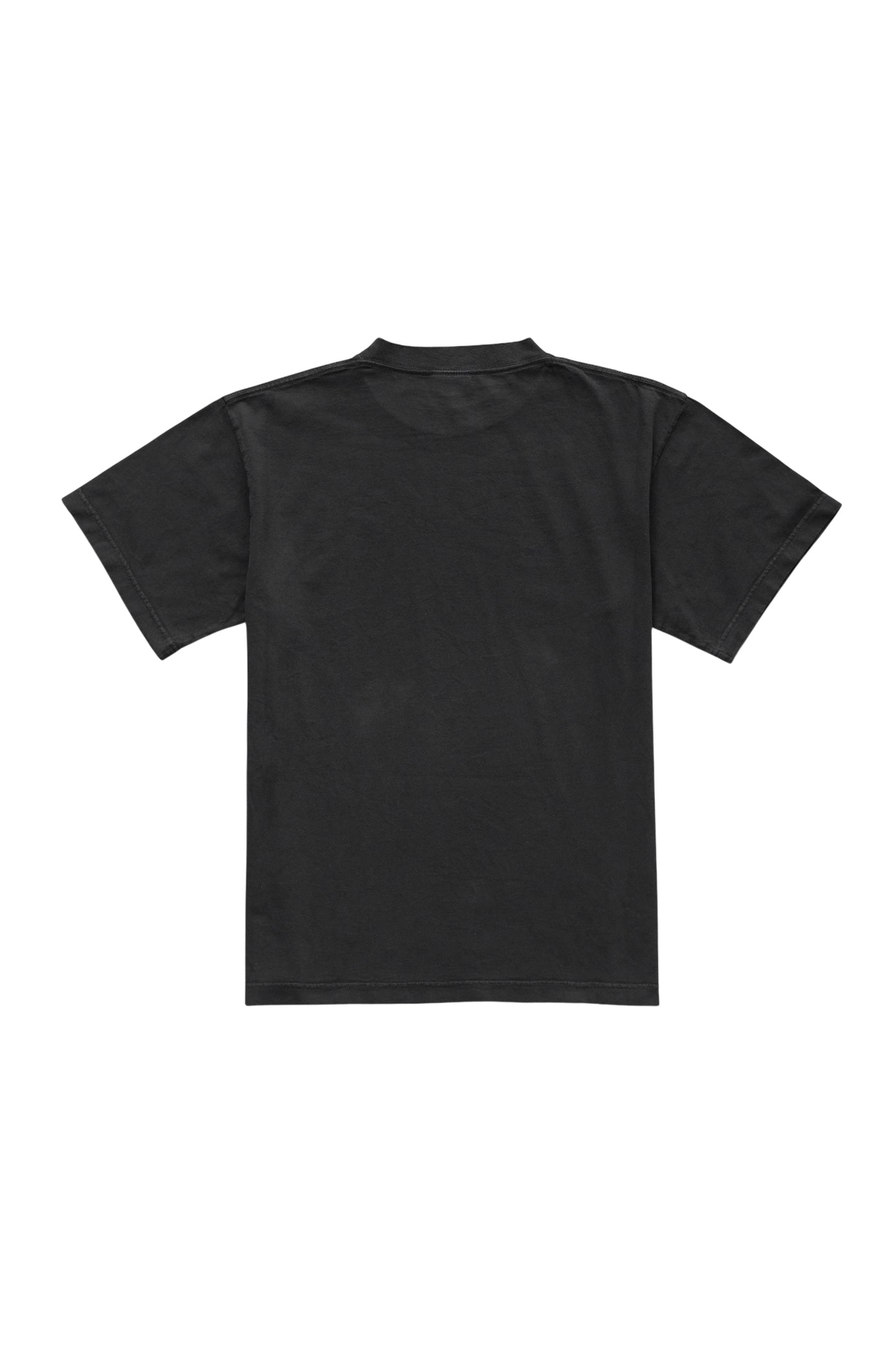 Standard T-Shirt