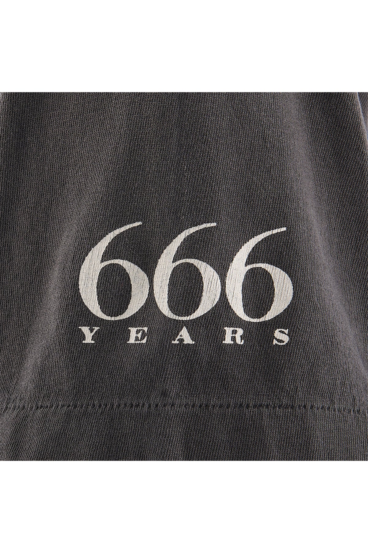 SAINT Mxxxxxx /SAINT 666 TシャツXL