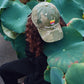 CAP/MNNK/CAMO