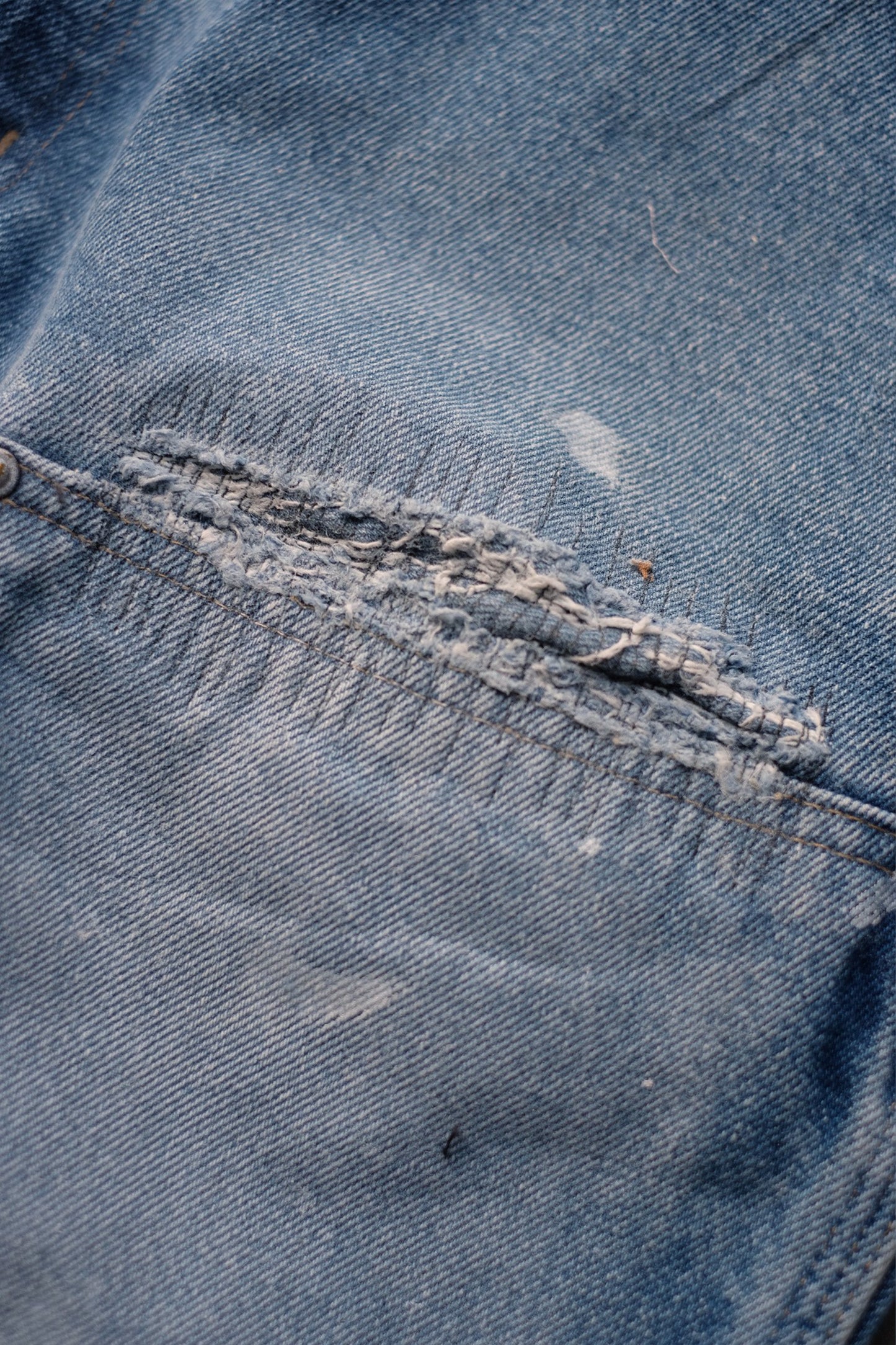 INNOCENCE Denim Pants "elephants exclusive"