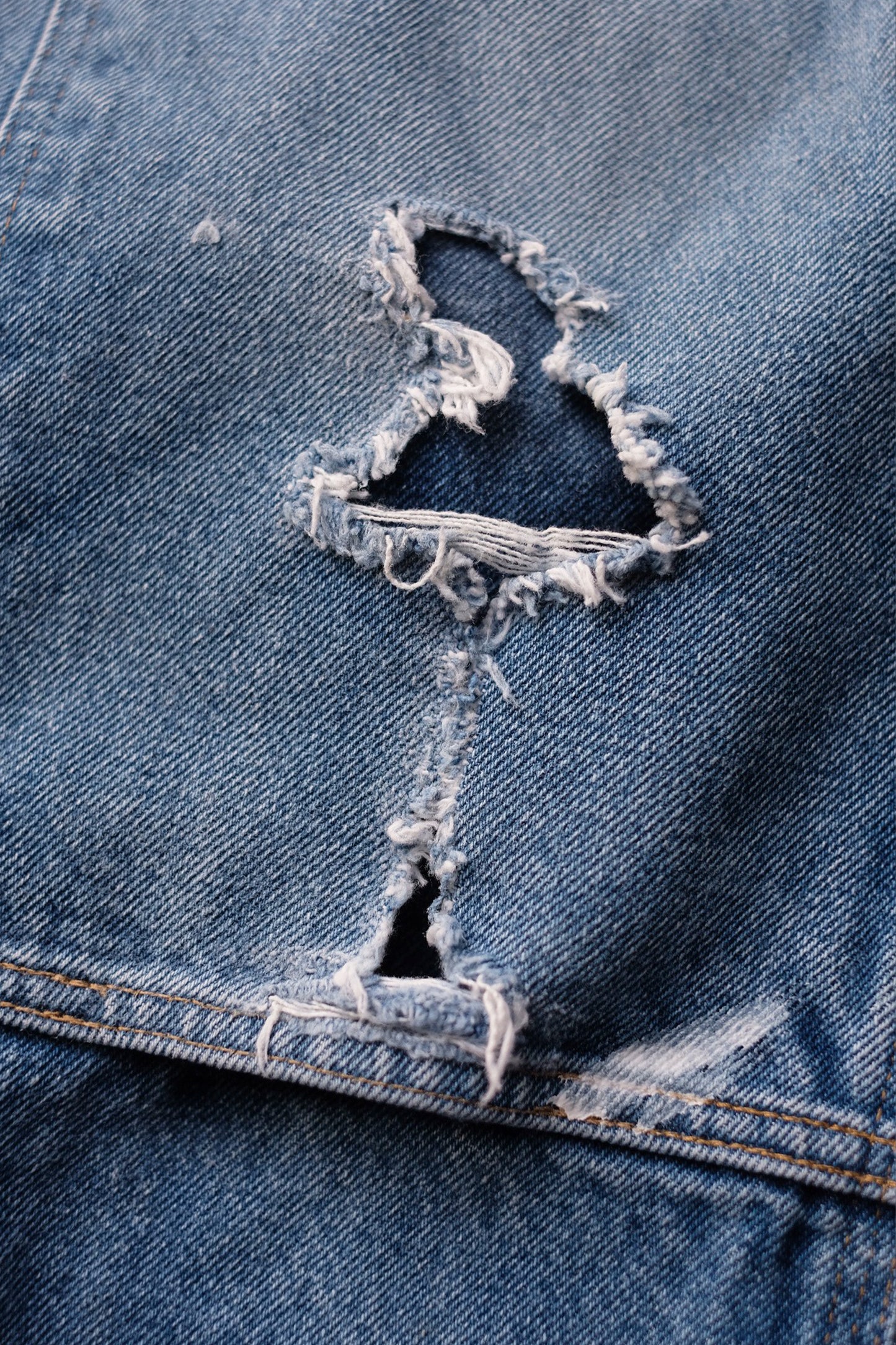 INNOCENCE Denim Pants "elephants exclusive"