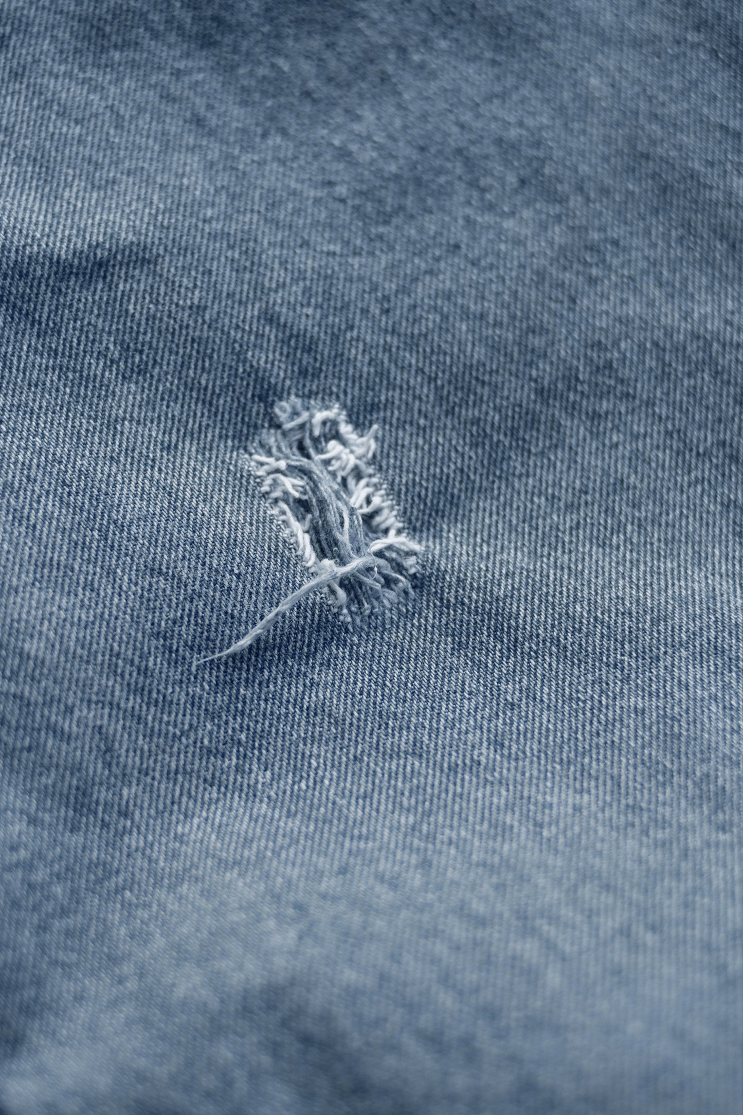 INNOCENCE Denim Pants "elephants exclusive"