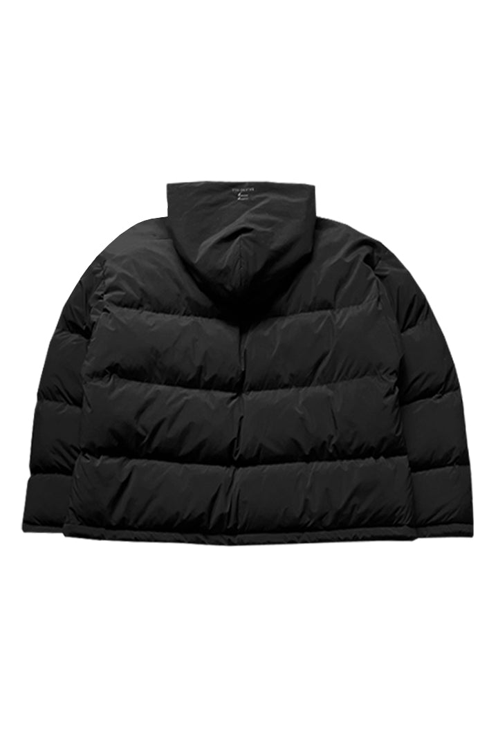 Hooded Puffer